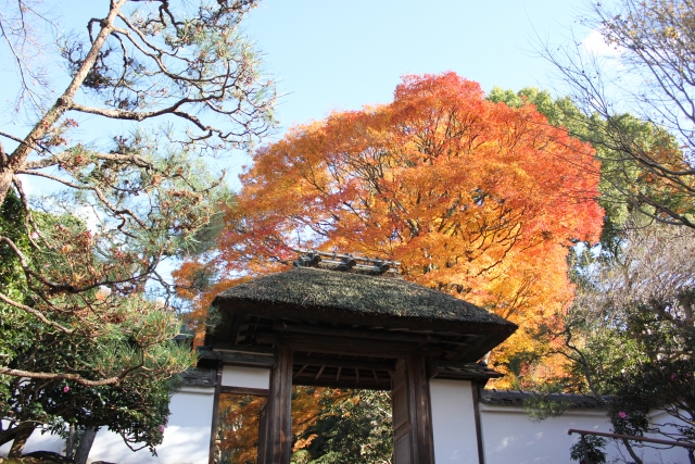 秋の寺門