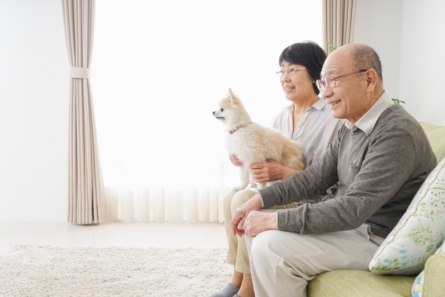 犬を飼うシニア夫婦