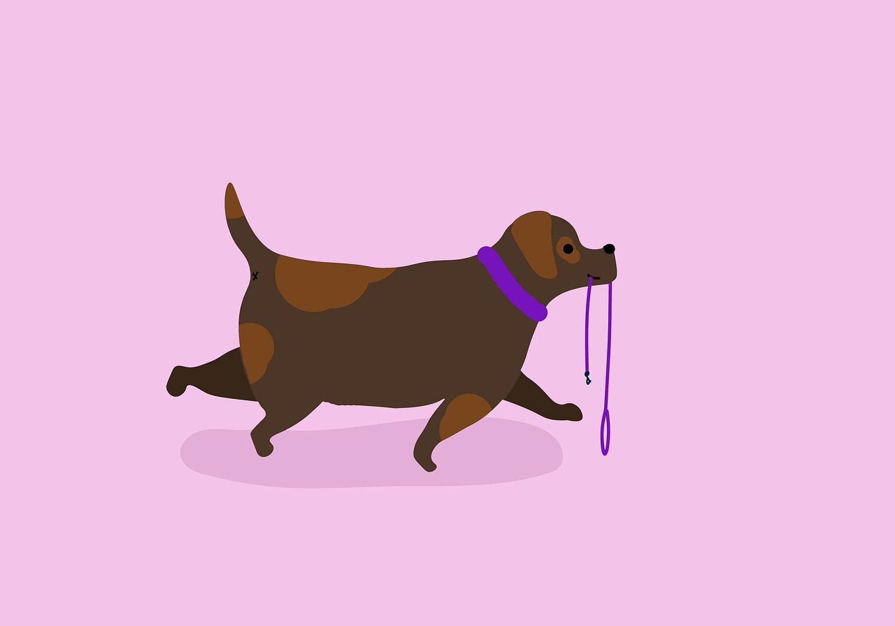 綱の外れた犬
