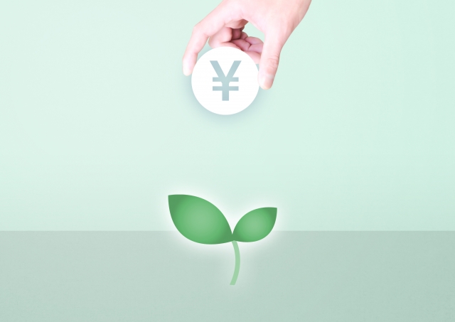 硬貨と新芽