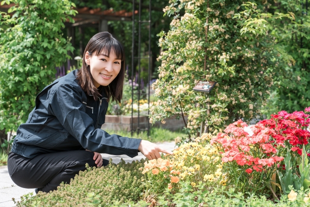 公園の花壇をチェックする女性